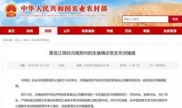 卓炜最新爆料消息新闻,揭秘娱乐圈惊人内幕